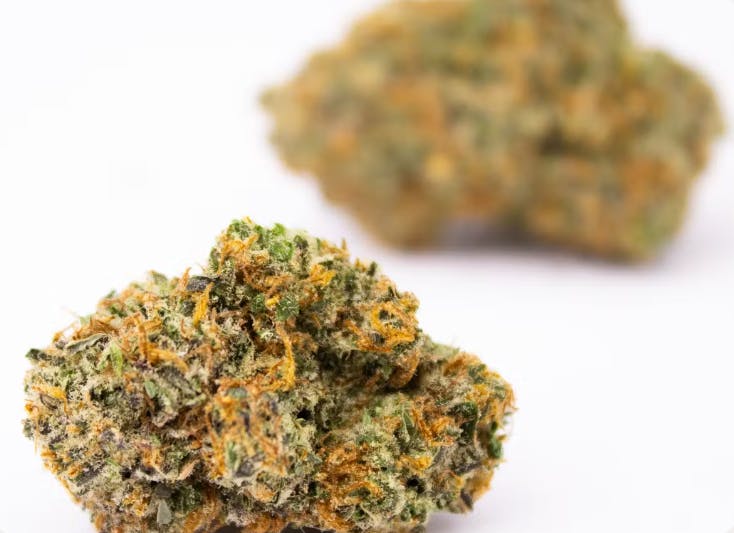 Product: Flor | Jealousy | Flower - 3.5g