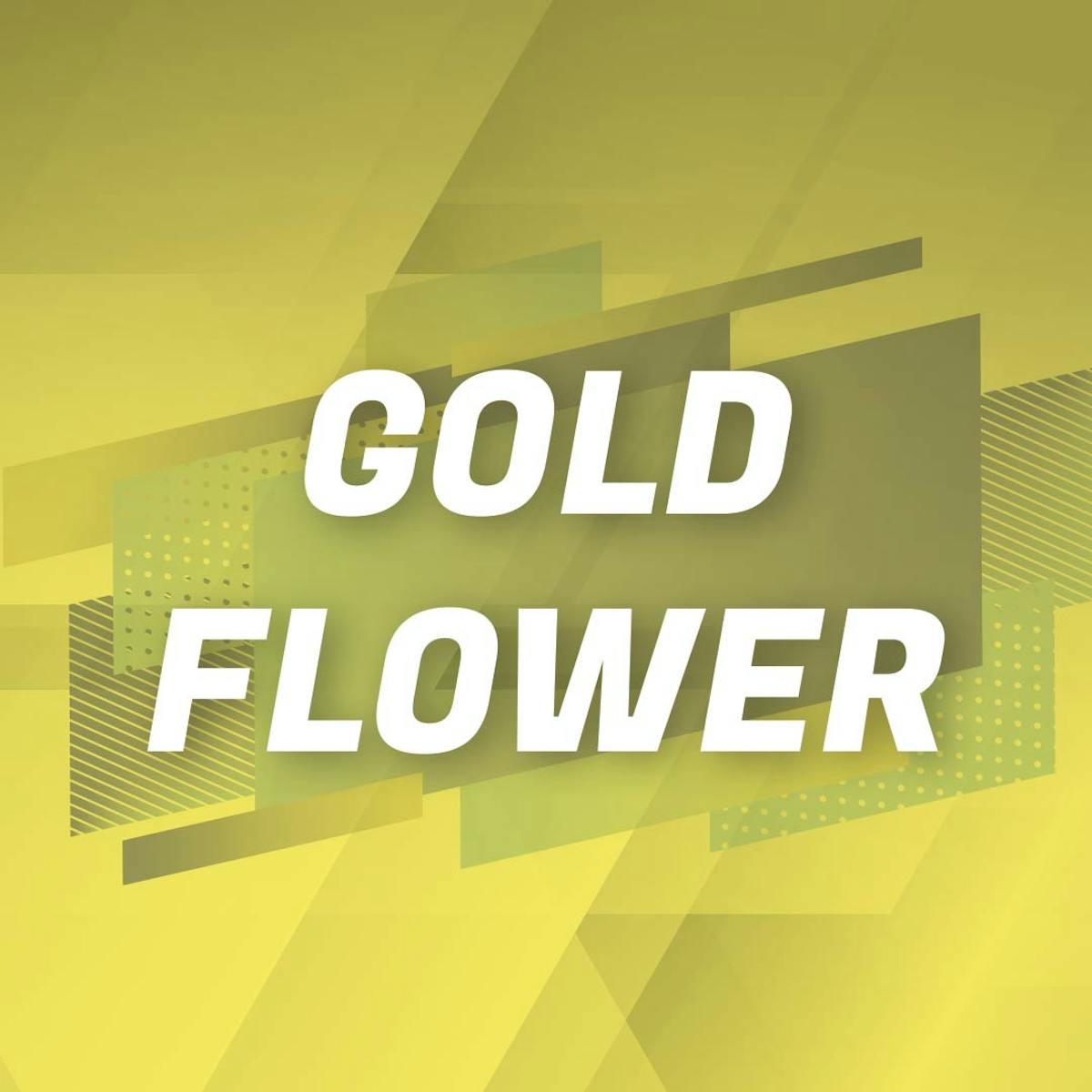 Photo of Gold Shelf – MAC 1 (H)