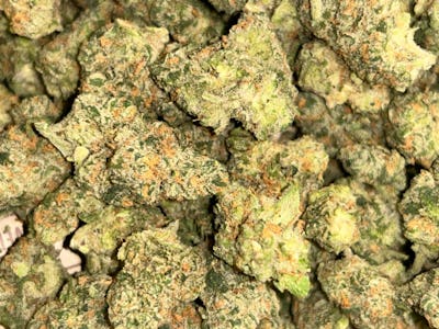15% Off Six Labs Flower 