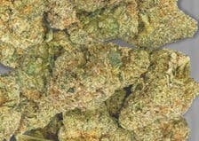 Product: CC | Glue Cheese | Hybrid | Bulk | SILVER