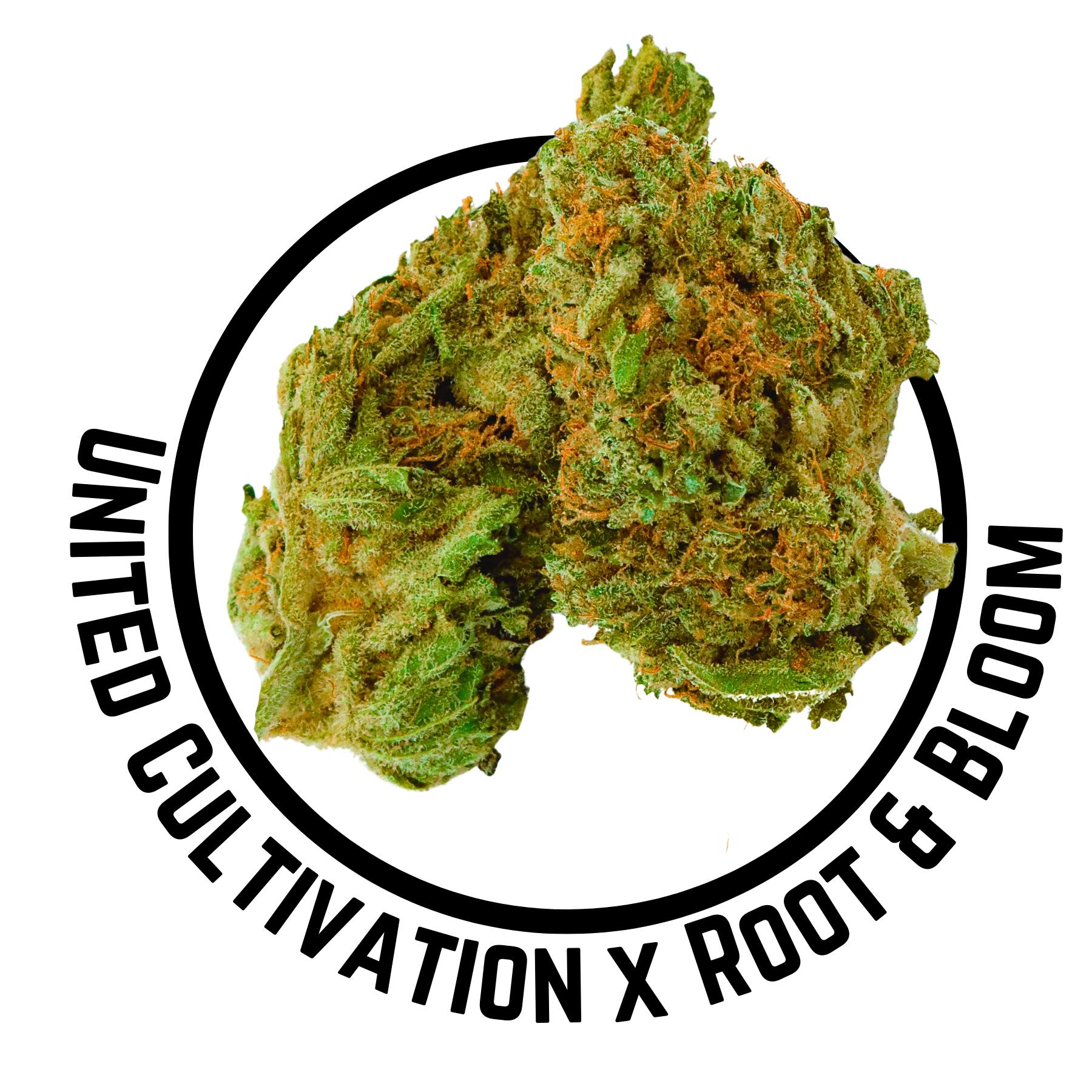 Lemon OG Haze 28g United Cultivation