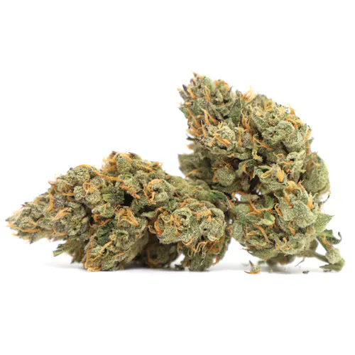 Skunk – Pakalolo-active