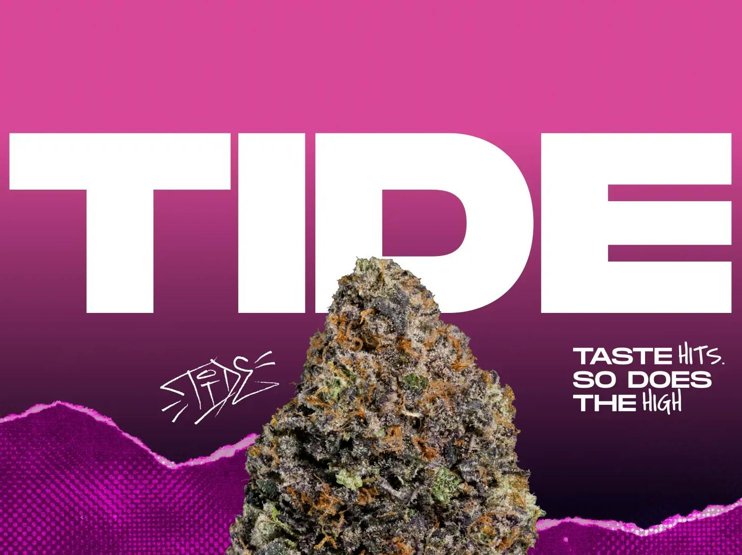 Wizard Trees Tide 3.5g Indoor Flower-1