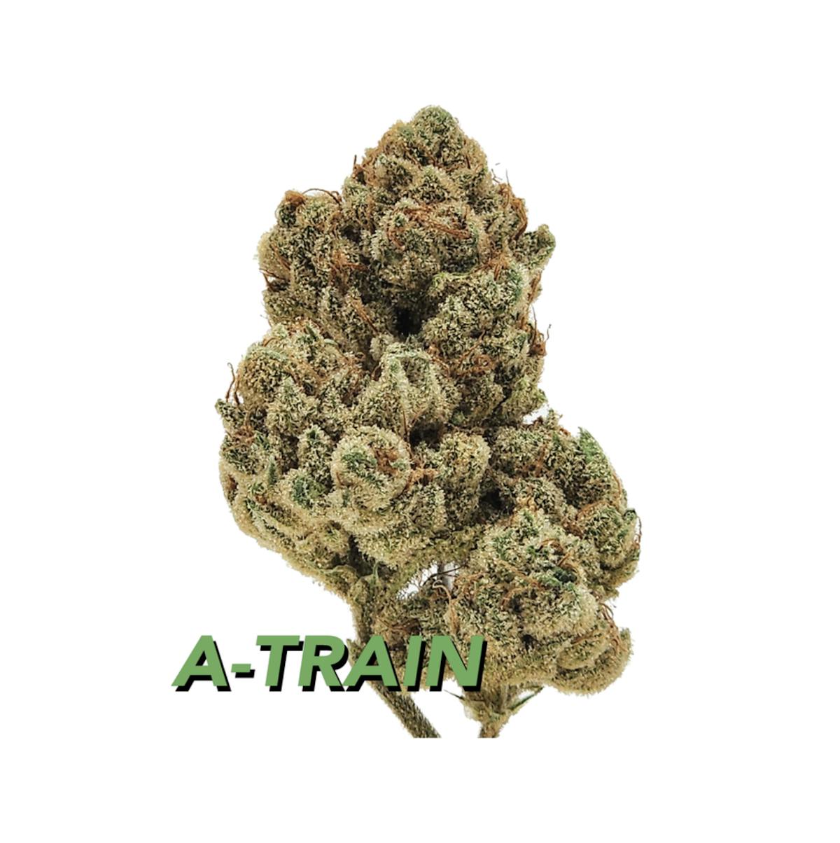 Photo of A-Train | Flower