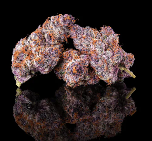 Lemon Cherry Tropicana [3.5g]-11
