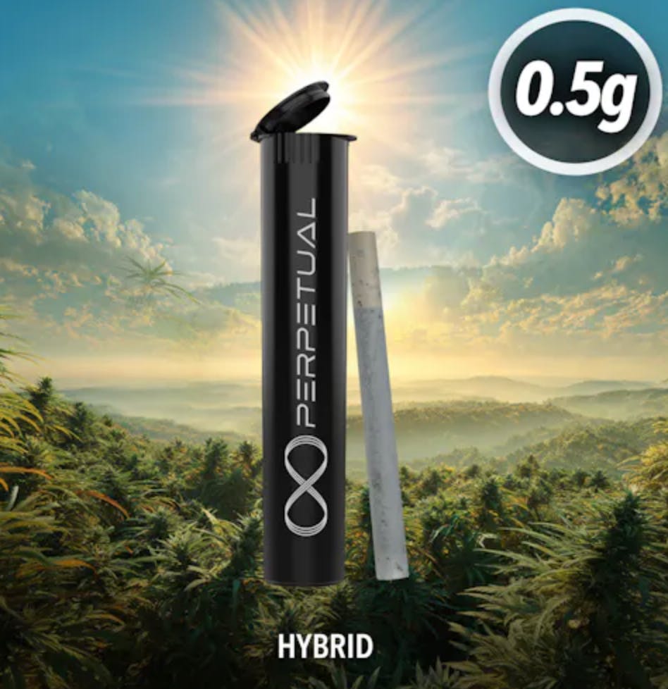 elf bar vape uk Shop Perpetual - Blue Dream Disposable Vape (1g) | Fine Fettle main image 0