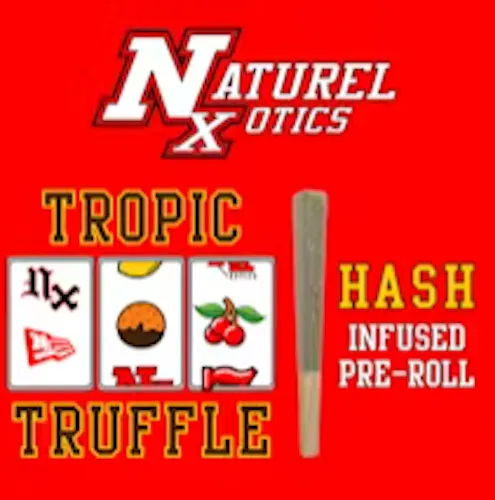 Tropic Truffle | Hash Infused Pre-Roll | 1g-1
