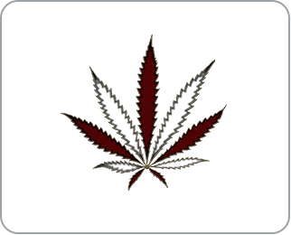 logo for Canada Buds (St. Catherines)
