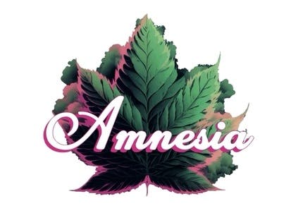 Product Image Alt