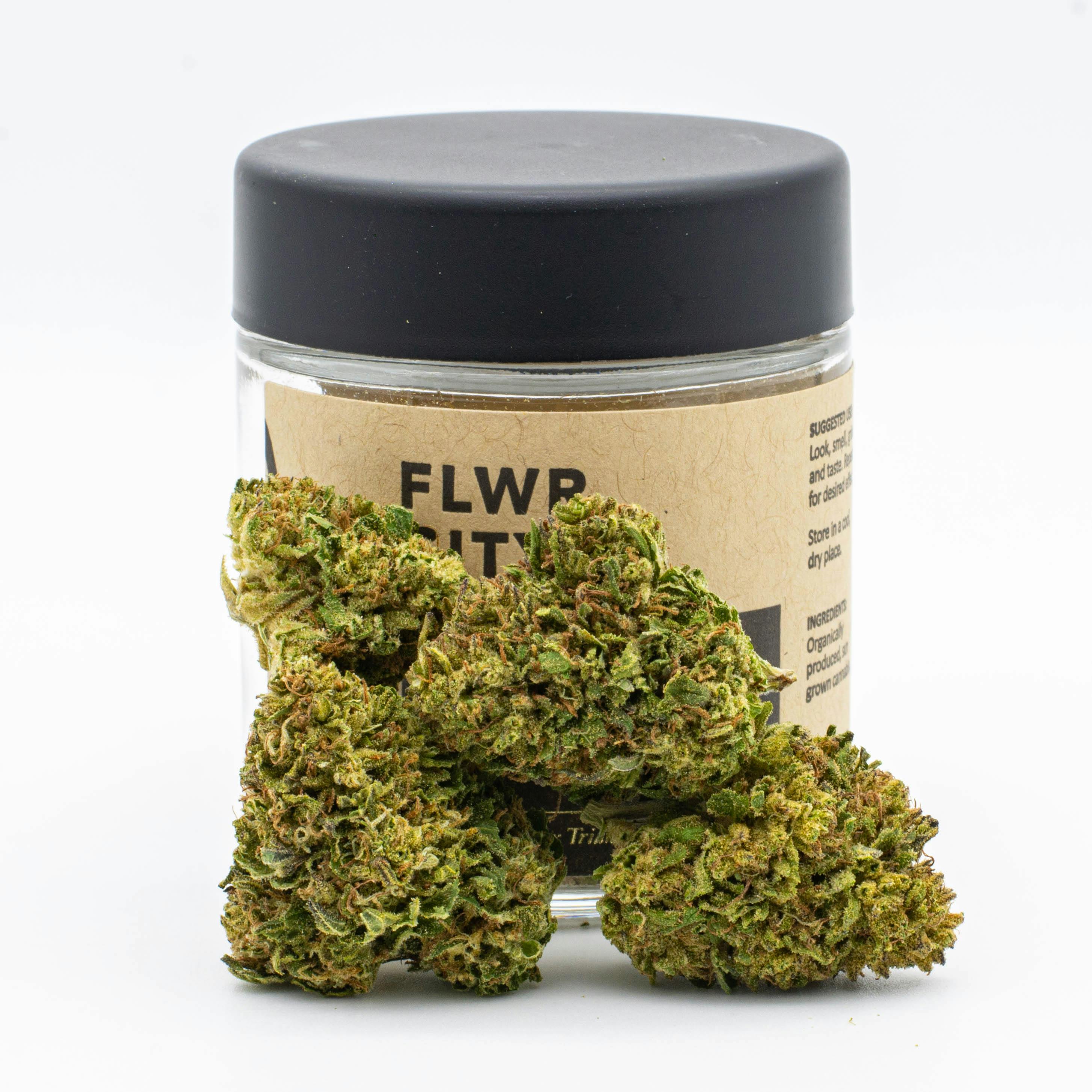 FLWR CITY | Flower Jar 3.5g | Slurricane