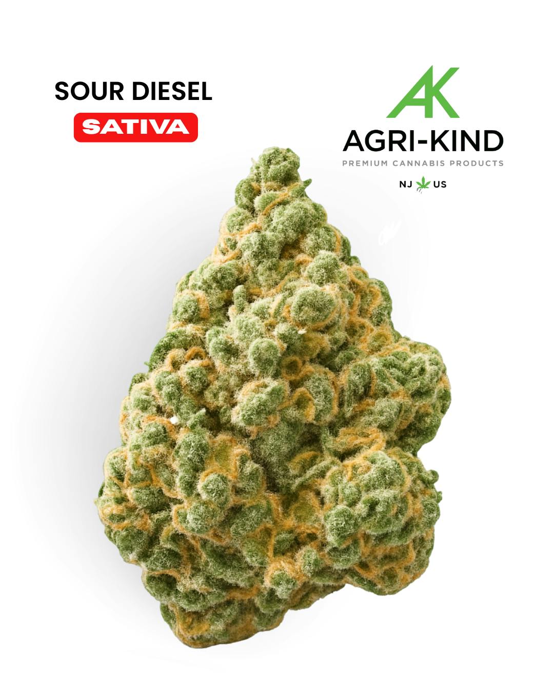 Rezzy Cheddar Cheese | Live Rosin Disposable Vape - High Rollers Cannabis  Dispensary Cannabis Dispensary in Atlantic City, NJ