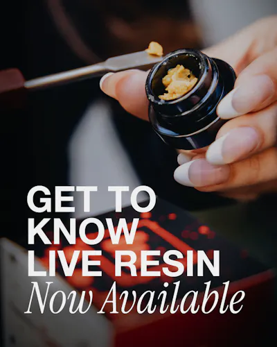 Garlic Cherry Gelato Live Sugar 1g – Fade Co.-active