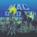 Withit Weed: Mac Daddy