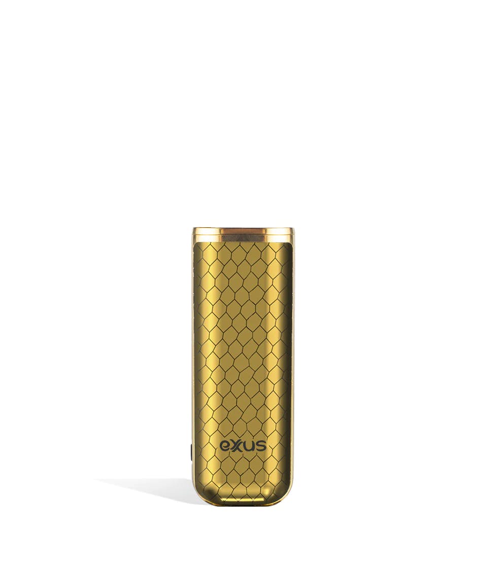 Exxus | MiNovo | Gold Cobra