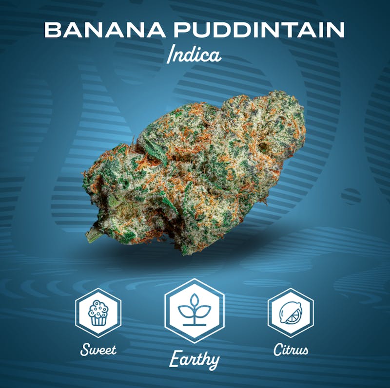 Product Mission - Banana Puddintain Flower (3.5g)