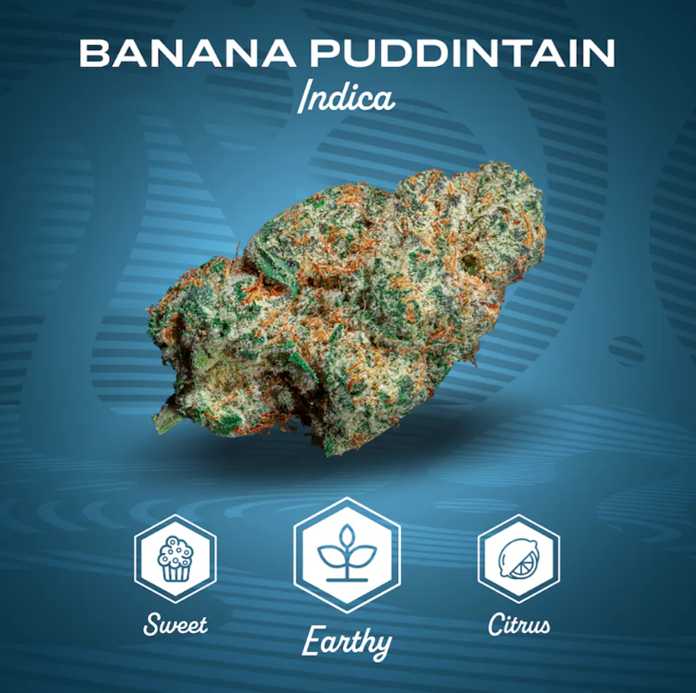 Product Mission - Banana Puddintain Flower (3.5g)