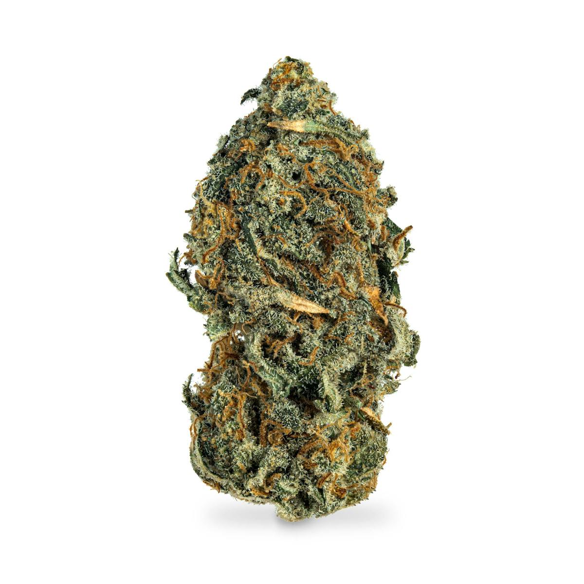 Photo of White Berry