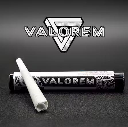 Product Valorem | Sunburst #5 | Preroll