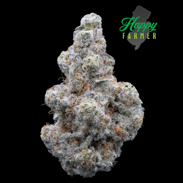 Test Kitchen | Z X Zikigai | 5G Smalls 5g Flower | Test Kitchen |