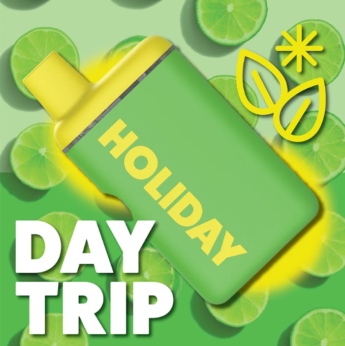 Disposable | Day Trip