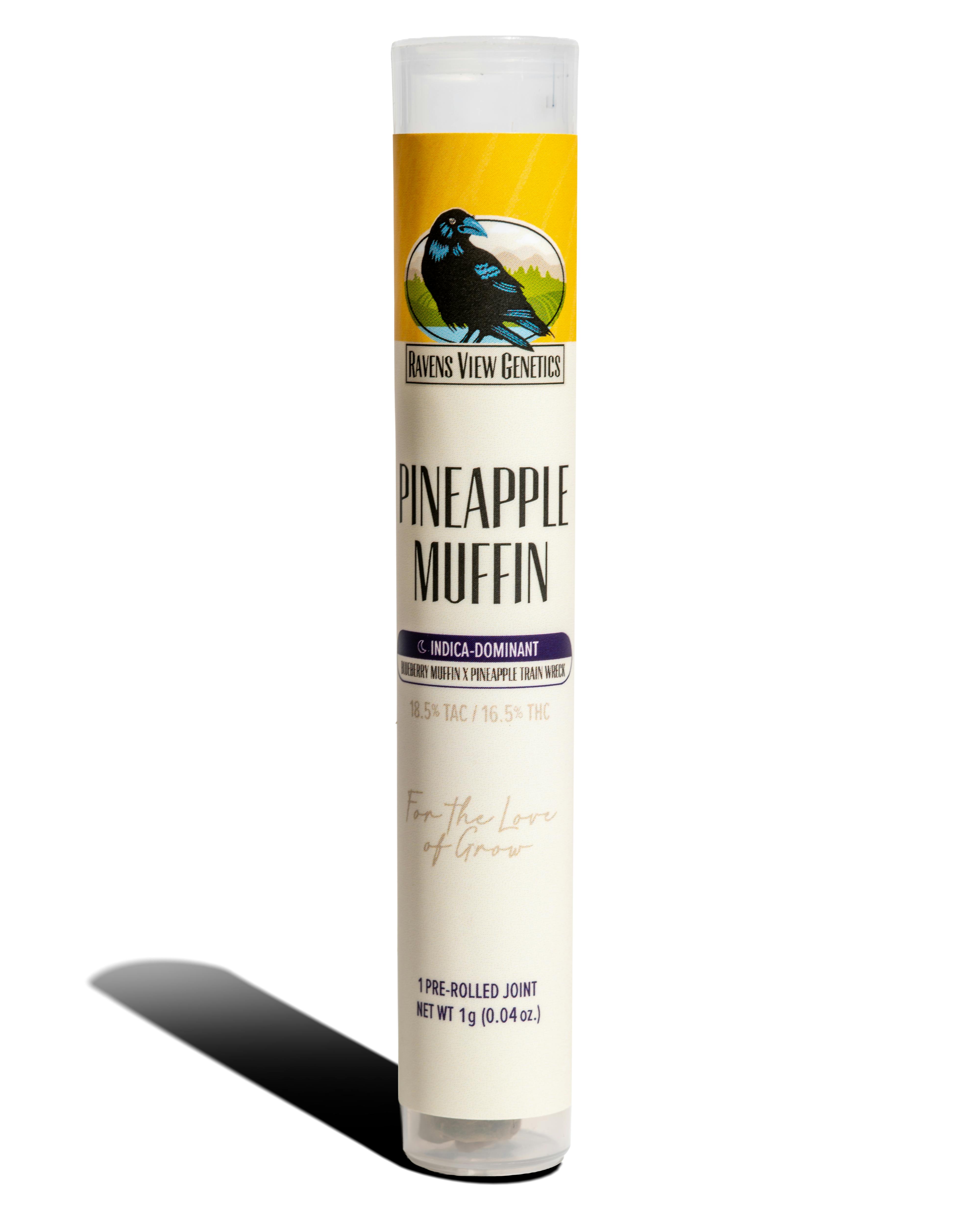 Pineapple Muffins | Single