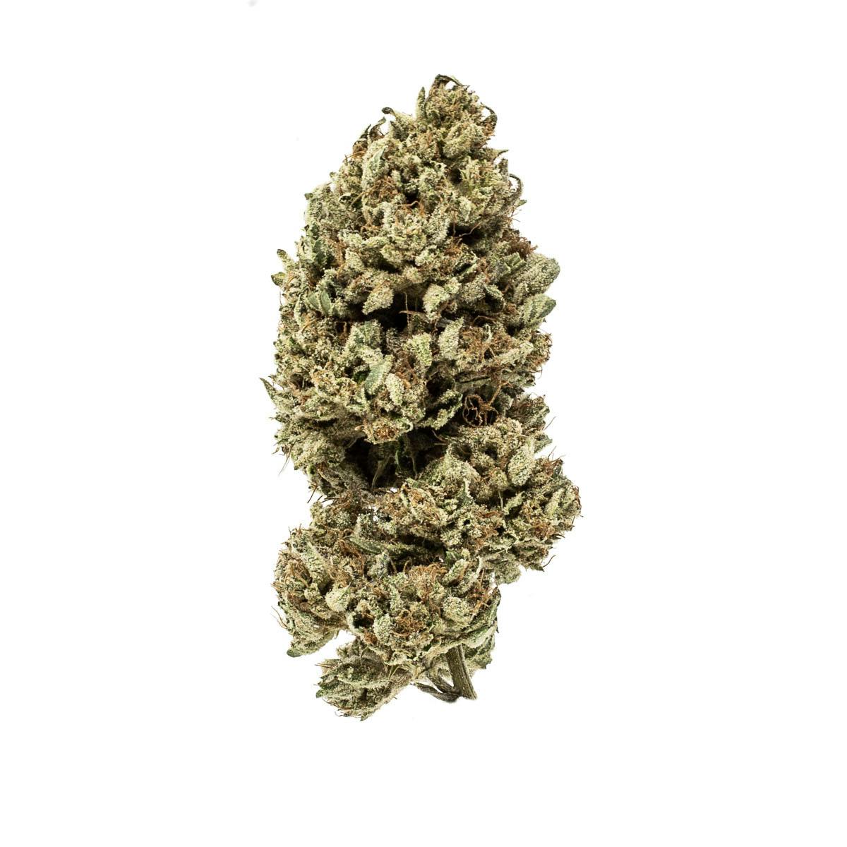 Photo of Popcorn Shelf – Commerce City Kush (I)