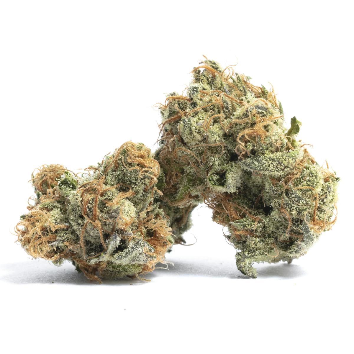 Photo of Gelato 41 (Oregon Cannabis Collective)