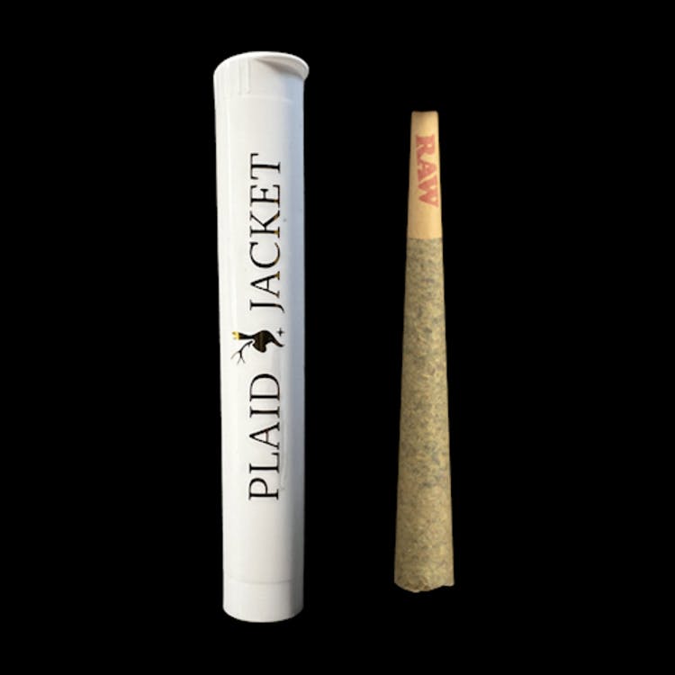Buy Plaid Jacket Cannabis Online - Locals Canna House Dispensary