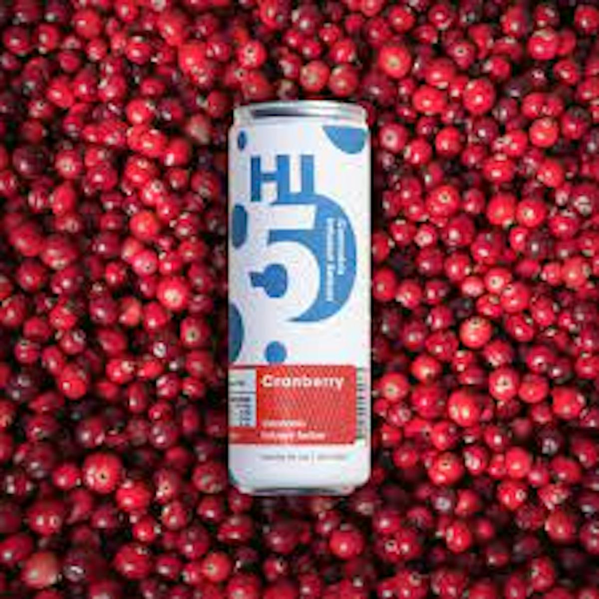 Image of Cranberry | 4 Pack Seltzer