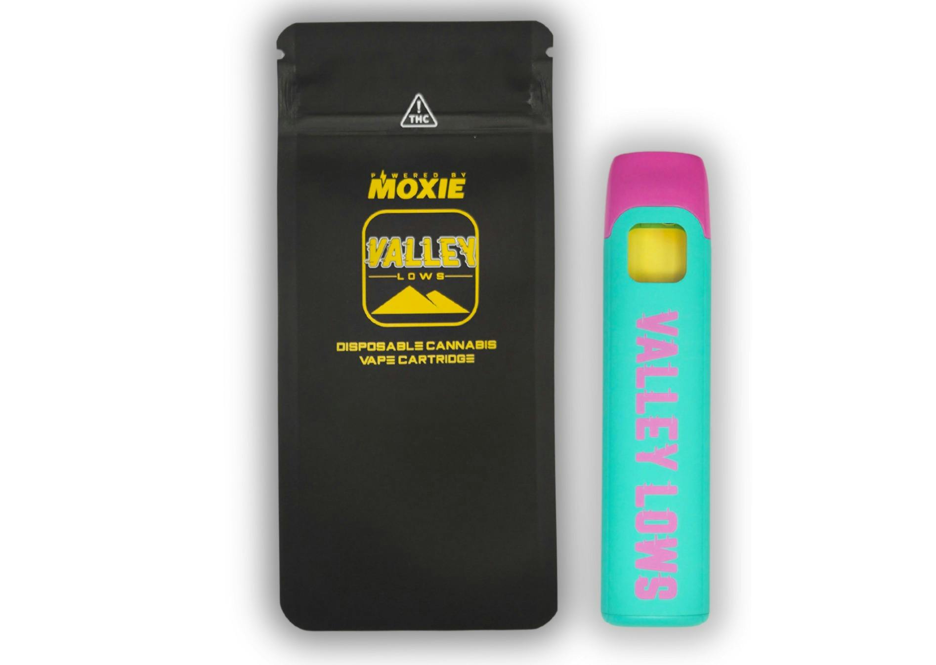 Blue Raspberry | Disposable