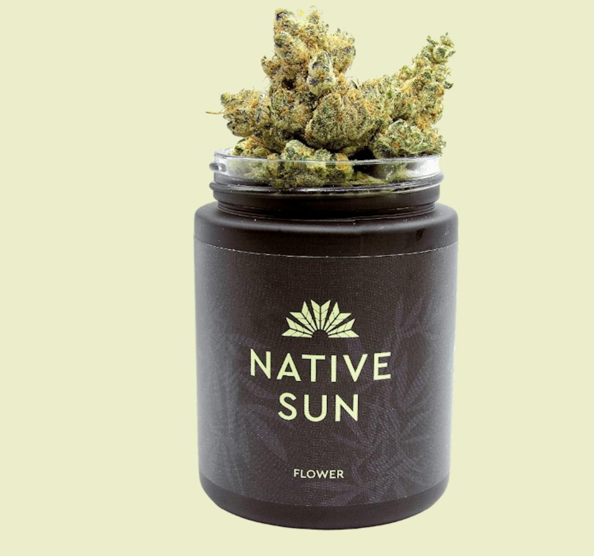 Photo of Meowzers Flower Native Sun