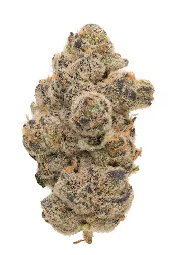 Rolling Green | Jar | Bananaconda | 3.5G-1