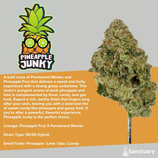 Sanctuary - Flower 3.5g - Pineapple Junky