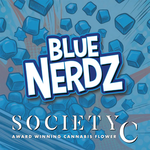 DELI - Society C - Blue Nerdz