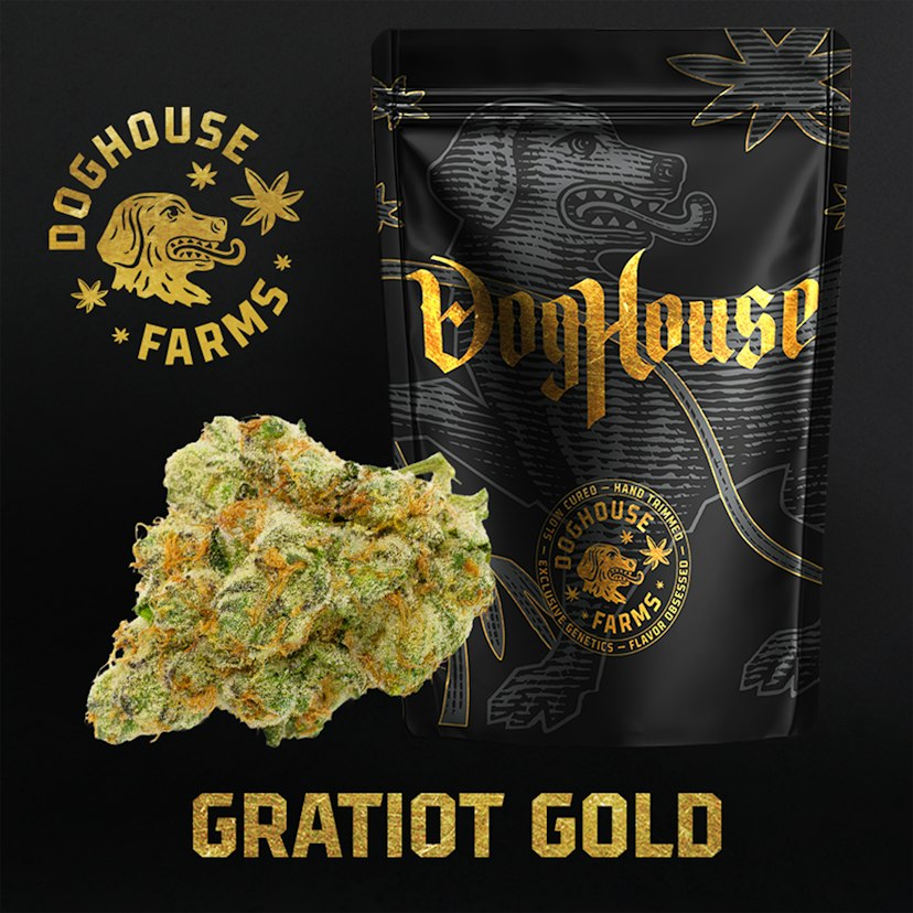 DogHouse Flower Gratiot Gold