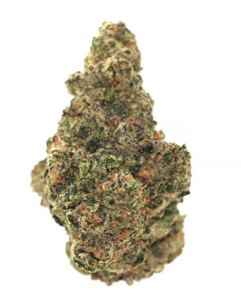 Flower | CAM | Guava Gelato OG | 14g (Exotic Flower)
