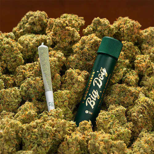 Living Legend (Play) Single-2