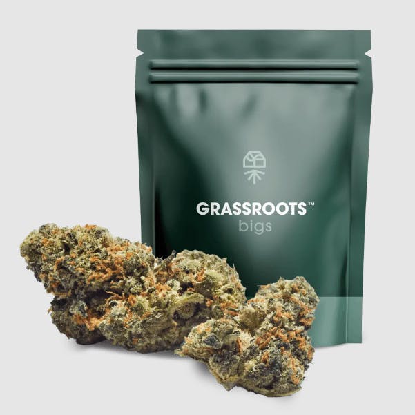 GMO x Kush Mintz Whole Flower Curaleaf