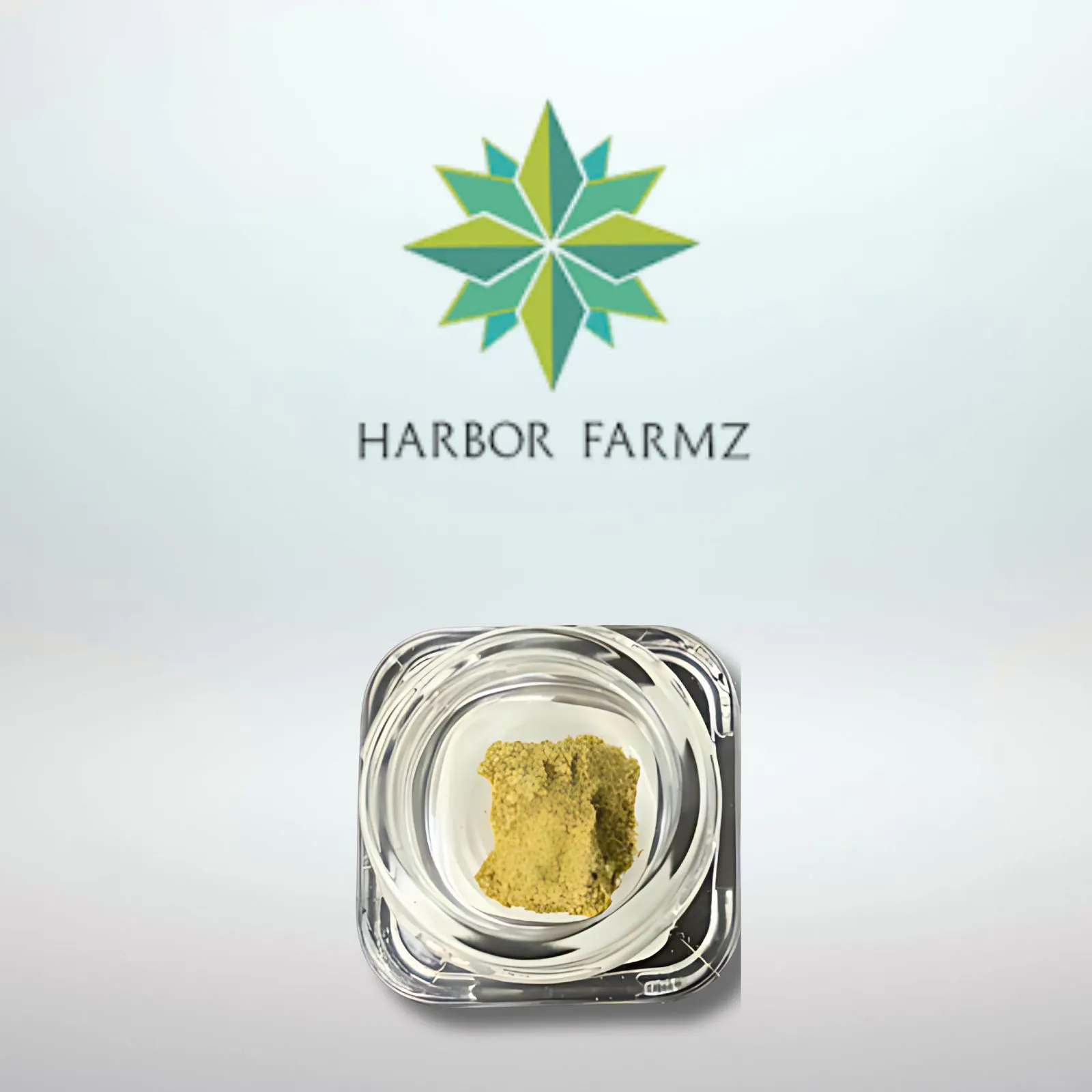 Bloom City Club - Kalamazoo | Cannabis Dispensary