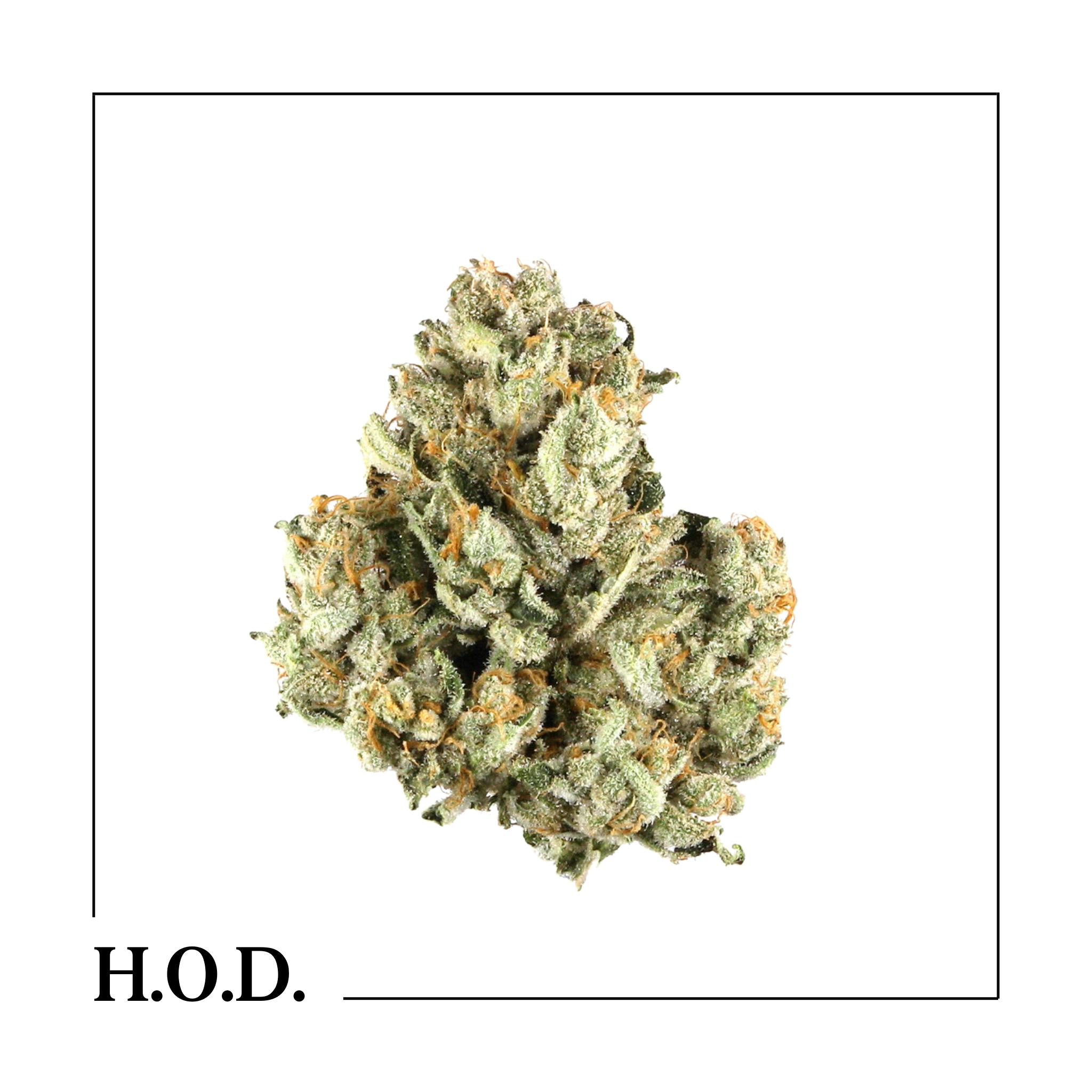 House of Dank Recreational Cannabis - Traverse City House of Dank Recreational Cannabis - Traverse City