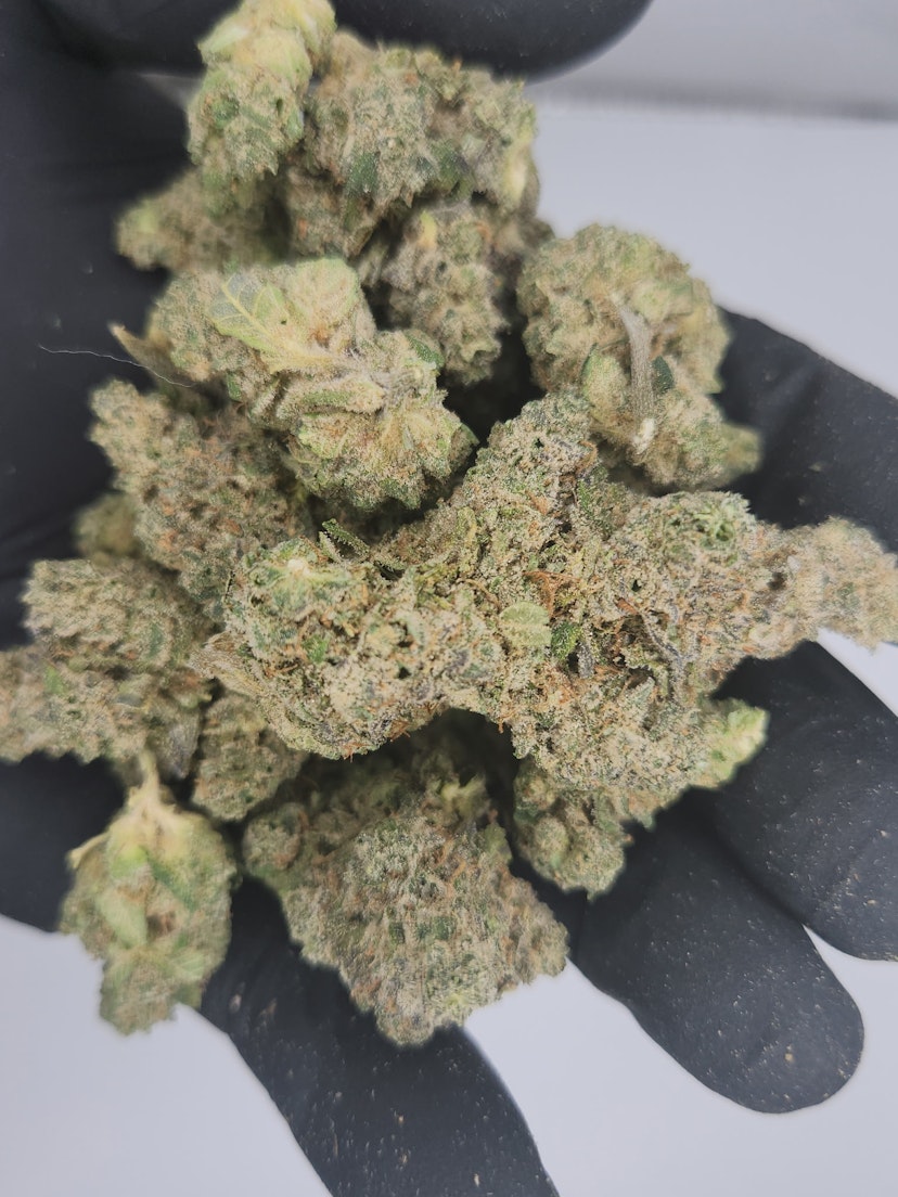 Denver Cole | Bulk Bud - Drip Station