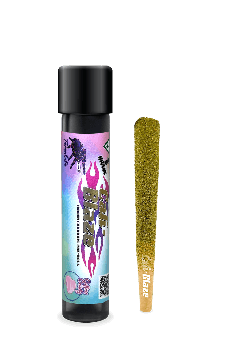 Product Cotton Candy (S) Tarantula Infused | Pre Rolls