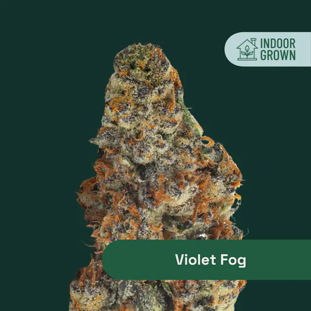 The Botanist Flower Violet Fog 3.5g (indica)