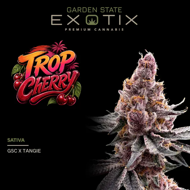 Garden State Exotix Flower Trop Cherry 3.5g (sativa, whole flower)