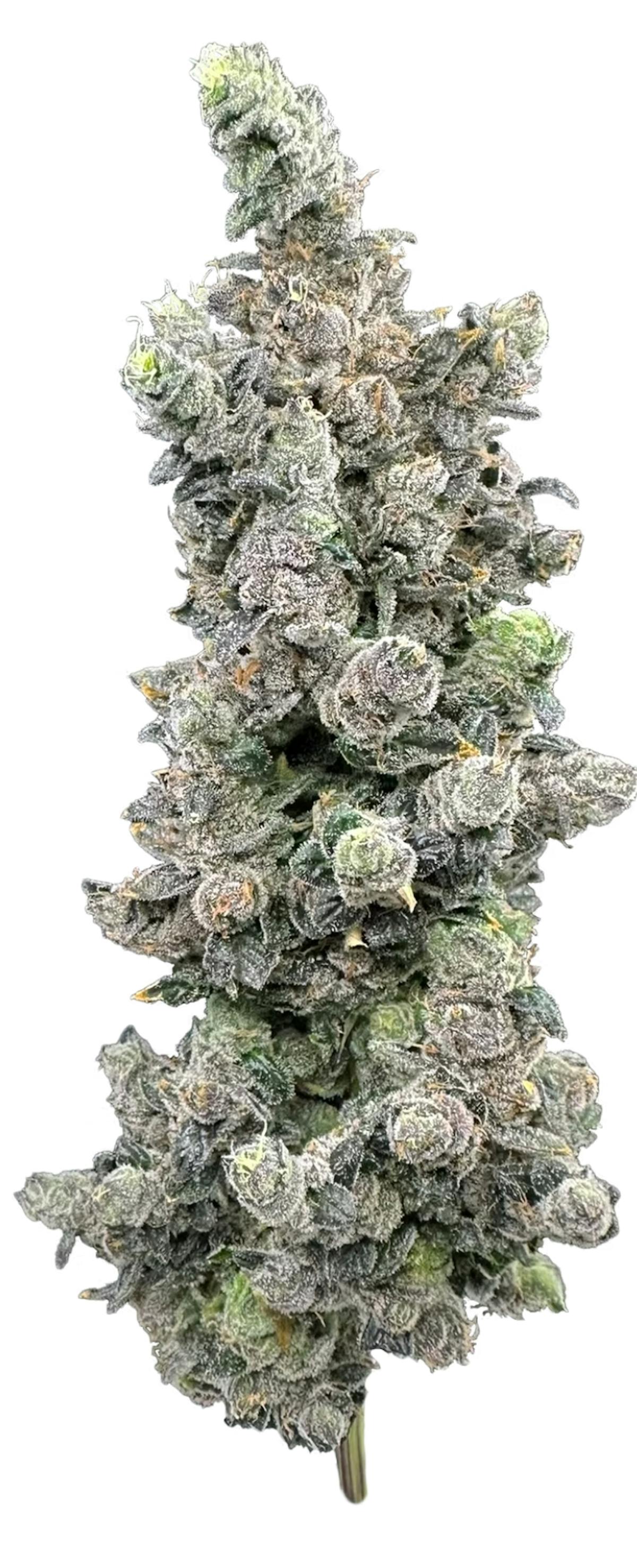 Photo of Vanilla Zoap 3.5g Flower Trifecta Farms