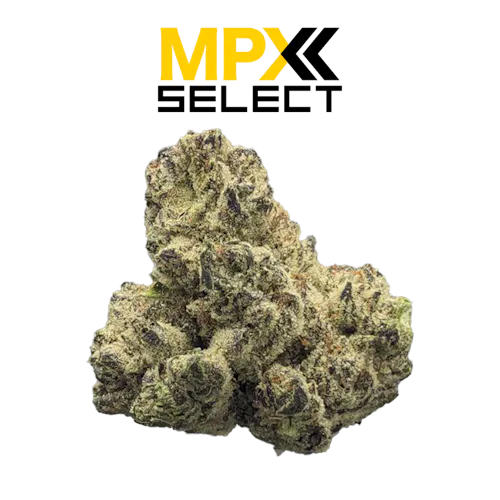 2a231207f1d8ba558ef9d7a222245e