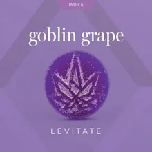 Levitate - 200mg Single Gummy - Goblin Grape
