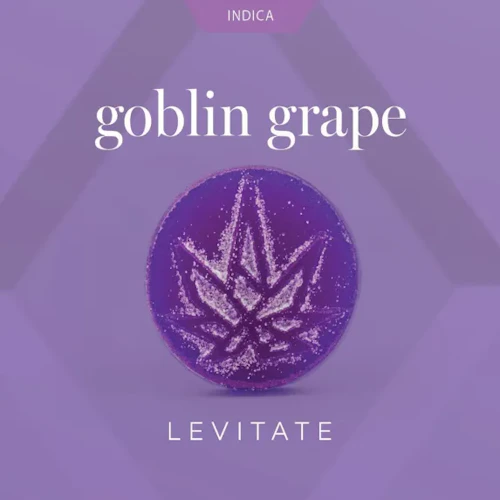 Levitate - 200mg Single Gummy - Goblin Grape