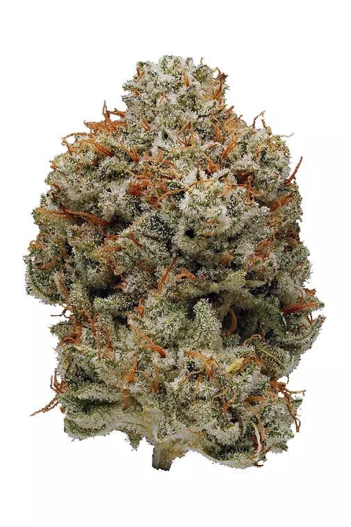 GATSBY CANNABIS CO. | SUPER GLUE INDICA/HYBRID