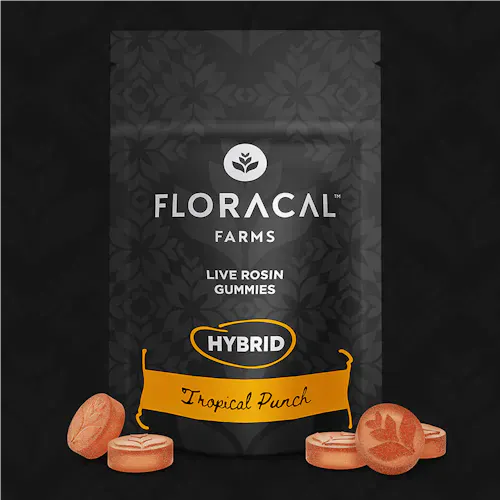 Tropical Punch (H)  – Live Rosin Gummies (100mg) – Floracal-2